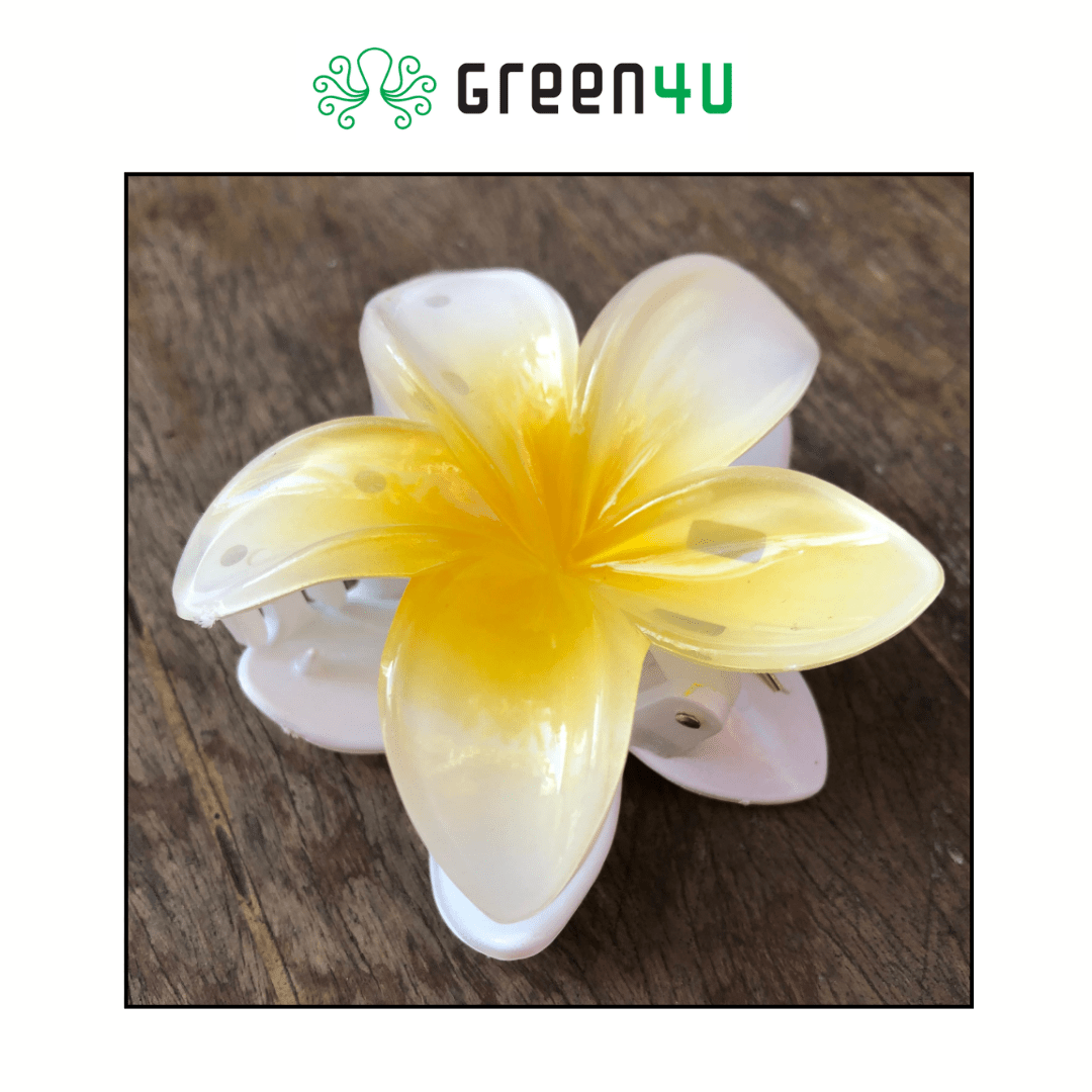 Presilha Plumeria Grande
