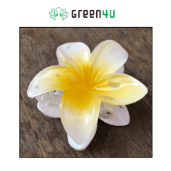 Presilha Plumeria Grande