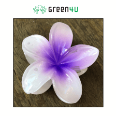 Presilha Plumeria Grande