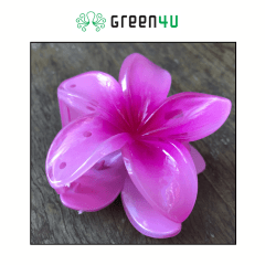 Presilha Plumeria Grande