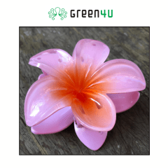 Presilha Plumeria Grande