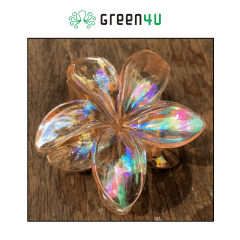 Presilha Plumeria Grande