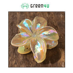 Presilha Plumeria Grande