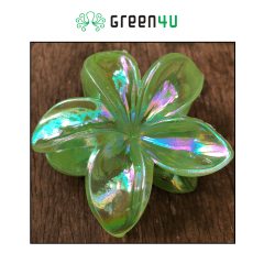 Presilha Plumeria Grande