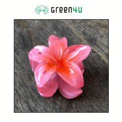 Presilha Plumeria Pequena