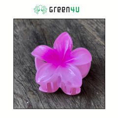 Presilha Plumeria Pequena