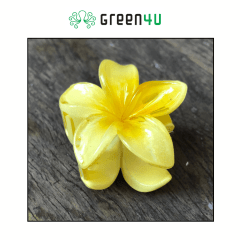 Presilha Plumeria Pequena