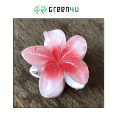 Presilha Plumeria Pequena