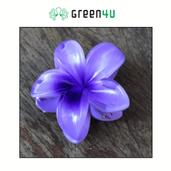 Presilha Plumeria Pequena